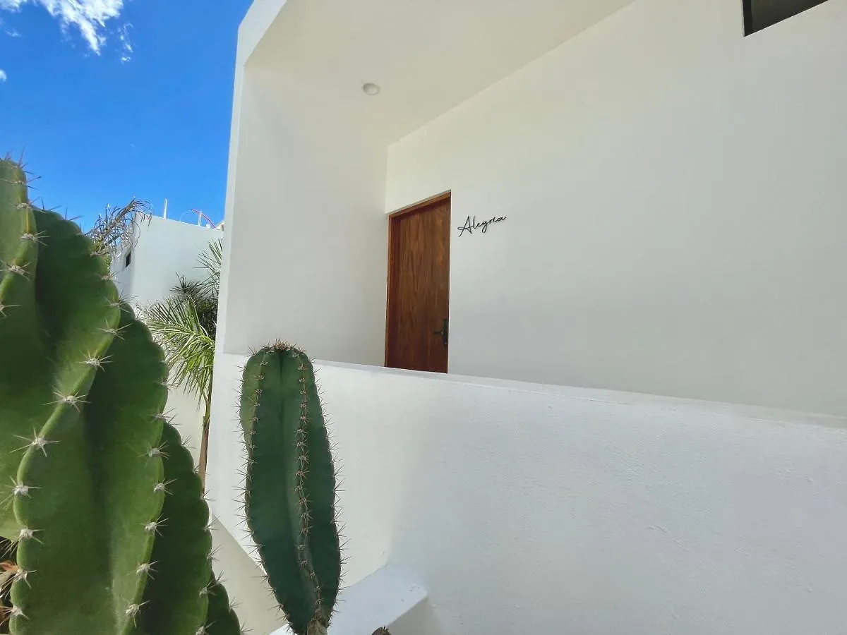 Nidito Tulum