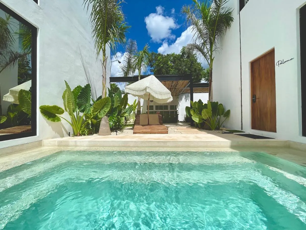 Nidito Tulum Apartment